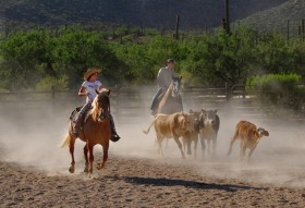 Tuesday Night Roping Lessons @ FitzGerald Farms | Yamhill | Oregon | United States